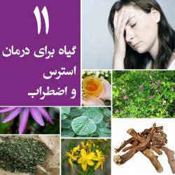 درمان استرس و اضطراب با کمک گیاهان